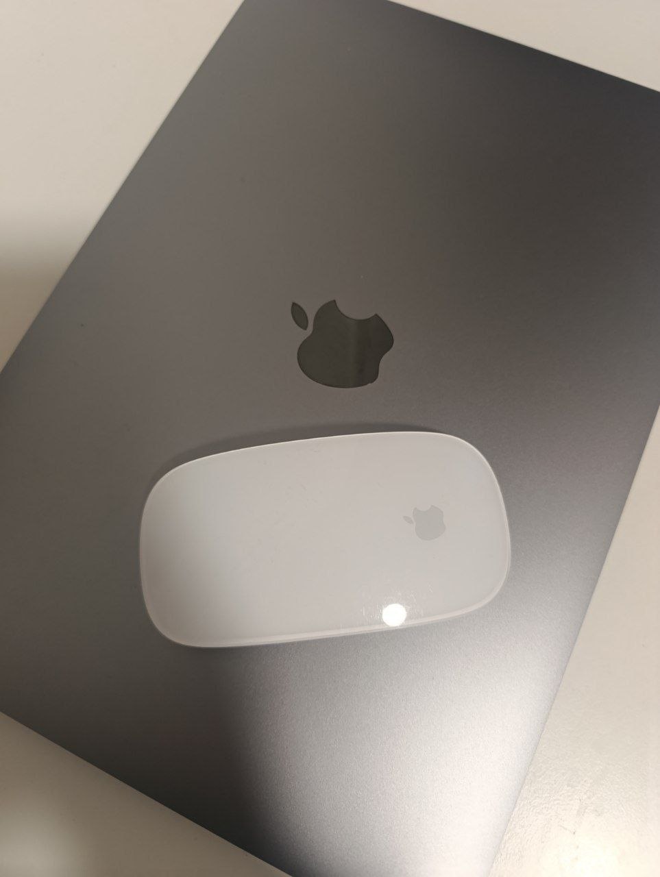 Apple Magic Mouse Multi-Touch 1