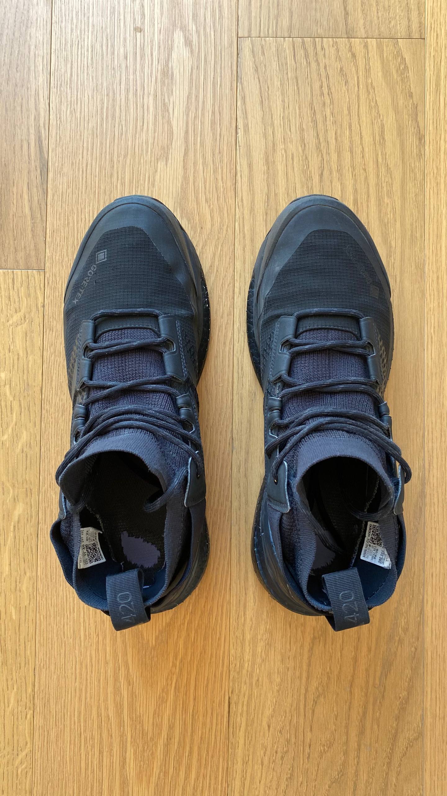 Кроссовки Adidas Terrex Free Hiker GTX 3