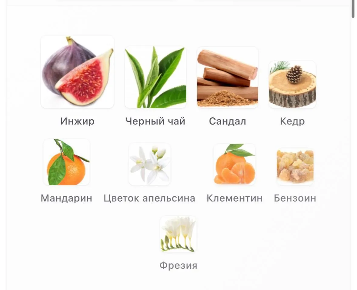 Essential Parfums Fig Infusion EDP 100 мл новый 2
