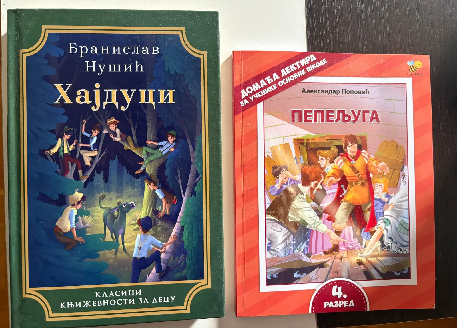 Книги для чтения Пепельуга и Хайдуци 1