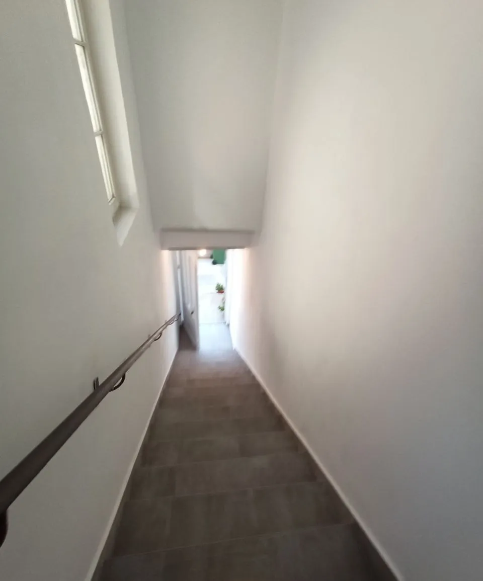 Студия 39 м² с террасой Медакович Звездара аренда 2