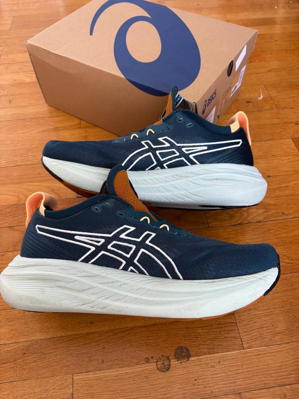 Кроссовки ASICS Gel-Nimbus 27 TR размер EU 44 2