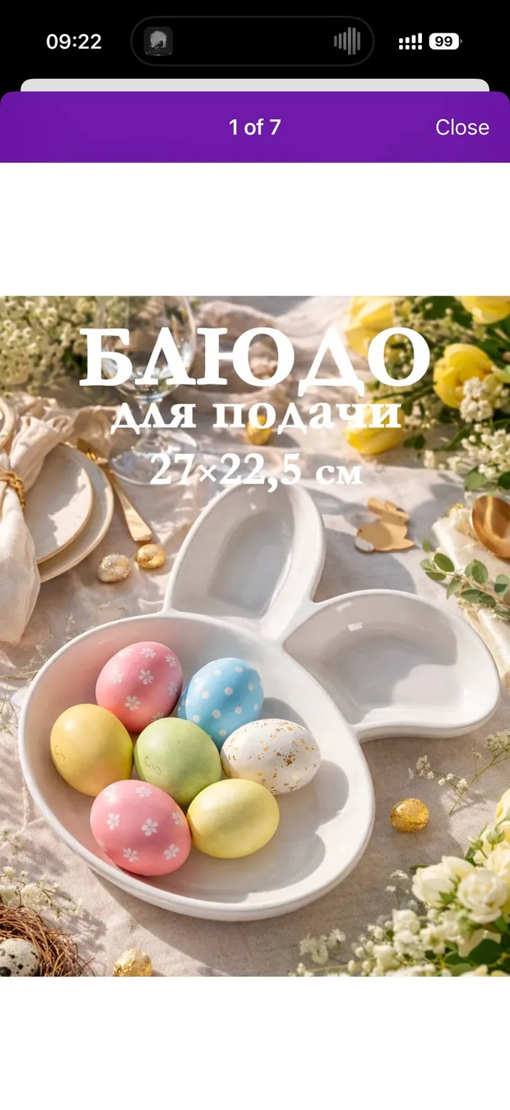Детская фарфоровая тарелка с ушками Врачар Белград 2