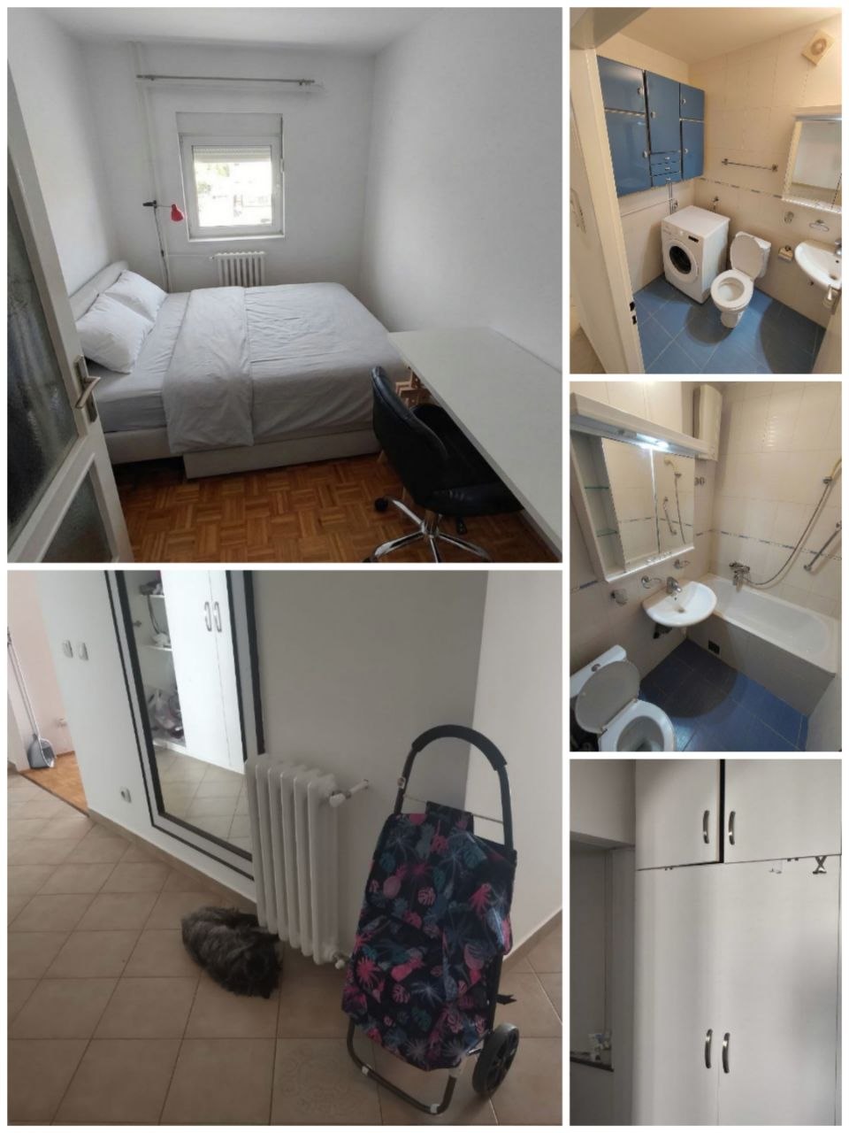 Аренда трёшки Новый Белград 62 м2 3