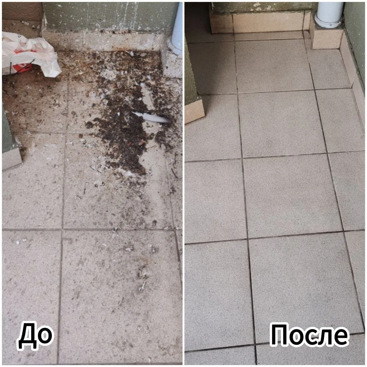 Мытьё окон и клининг квартир Белград Панчево 5