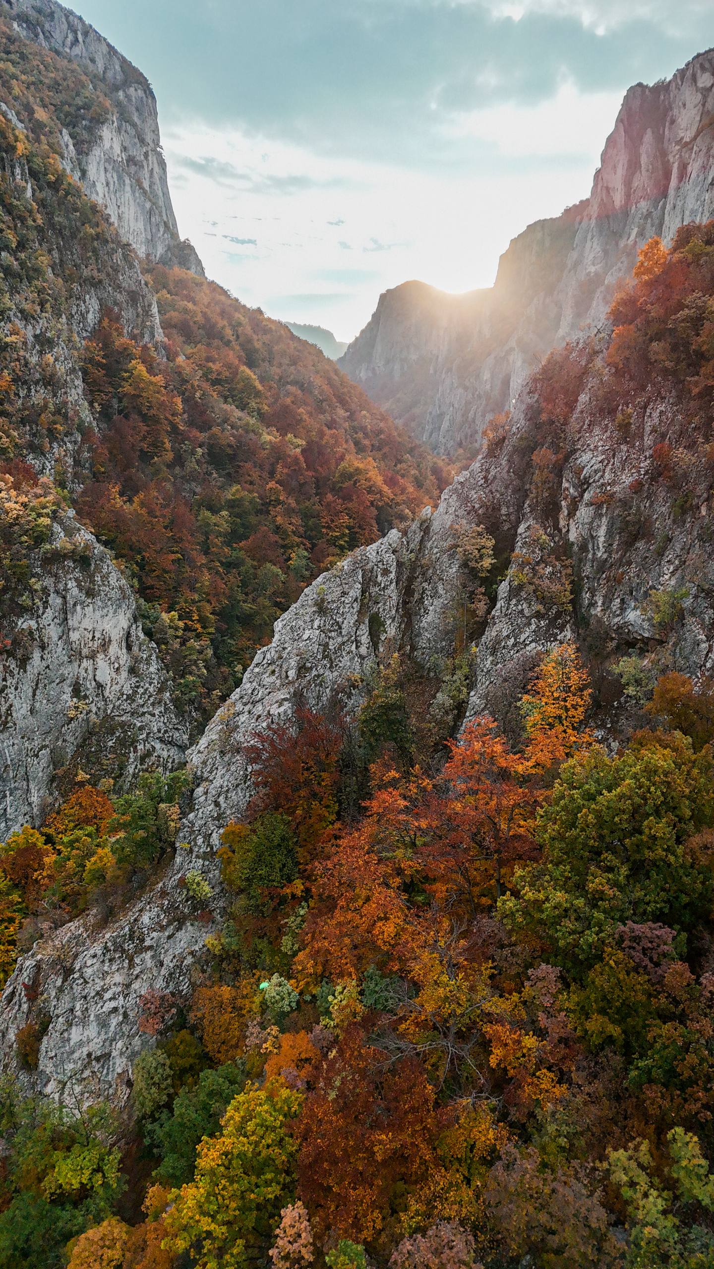 Дрон DJI Mini 4 Pro 2