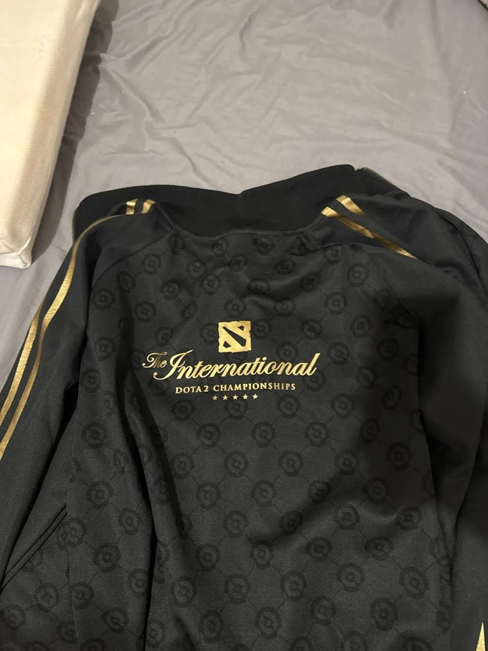 Кофта с лампасами The International 2021 Dota2 1