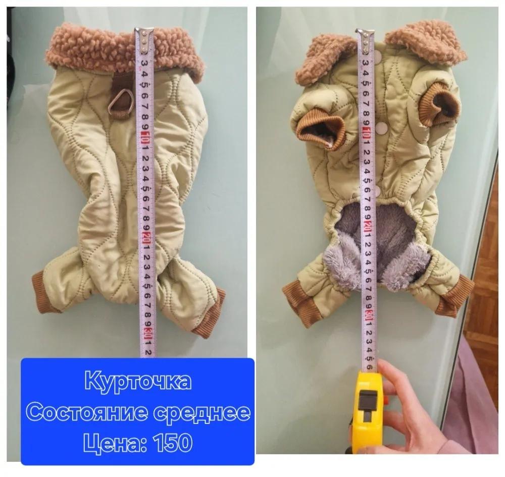 Товары для собак, Нови-Сад 5