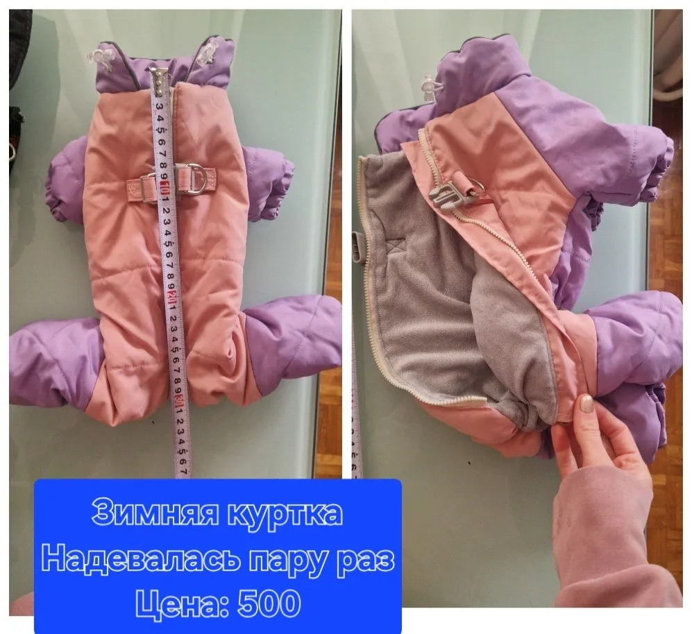 Товары для собак, Нови-Сад 8