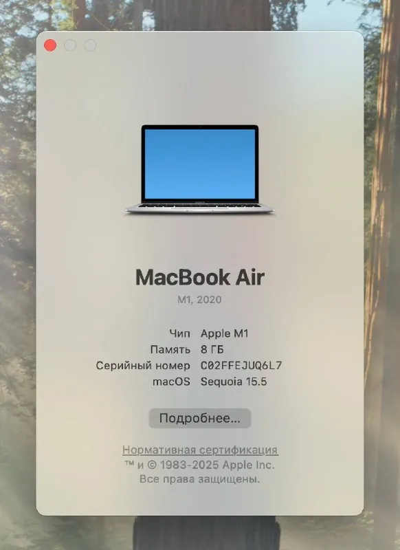 MacBook Air 13 M1 8GB 256GB аккумулятор 81% 8