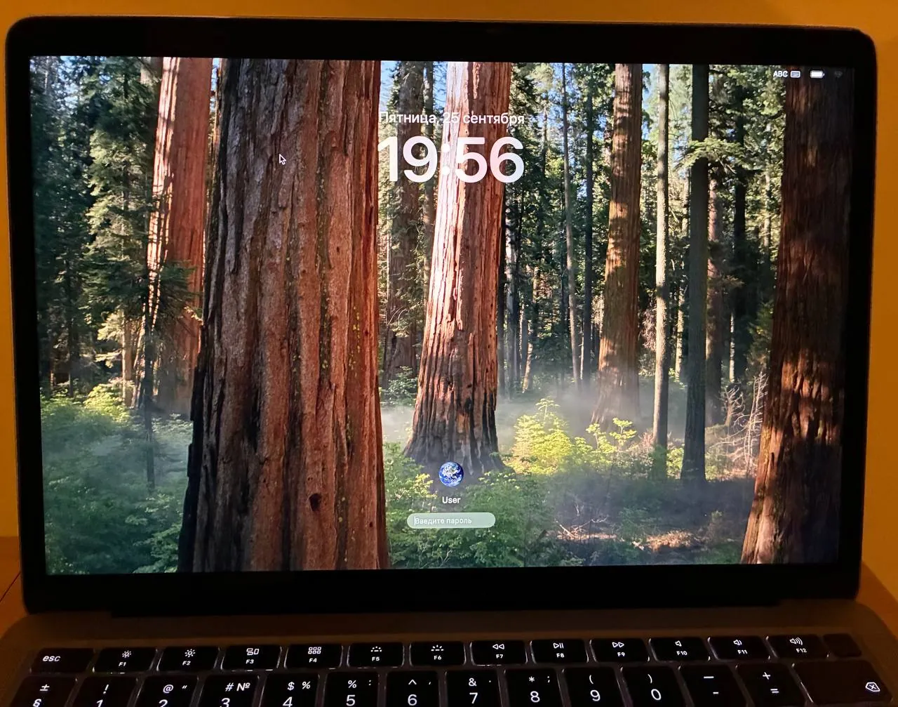 MacBook Air 2019 Intel i3 8 ГБ Савски Венац 2