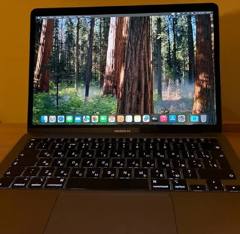 MacBook Air 2019 Intel i3 8 ГБ Савски Венац 1