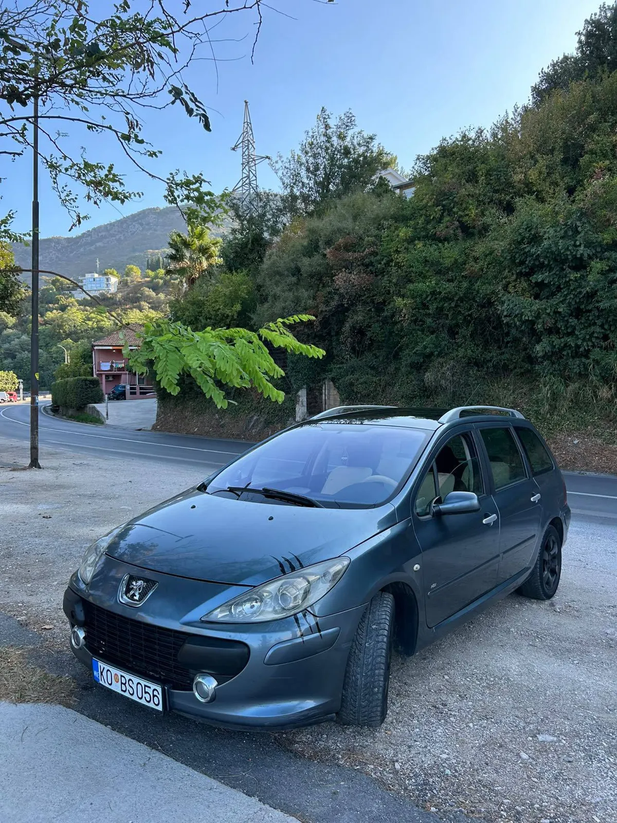 Peugeot 307 хэтчбек 2006 год 2
