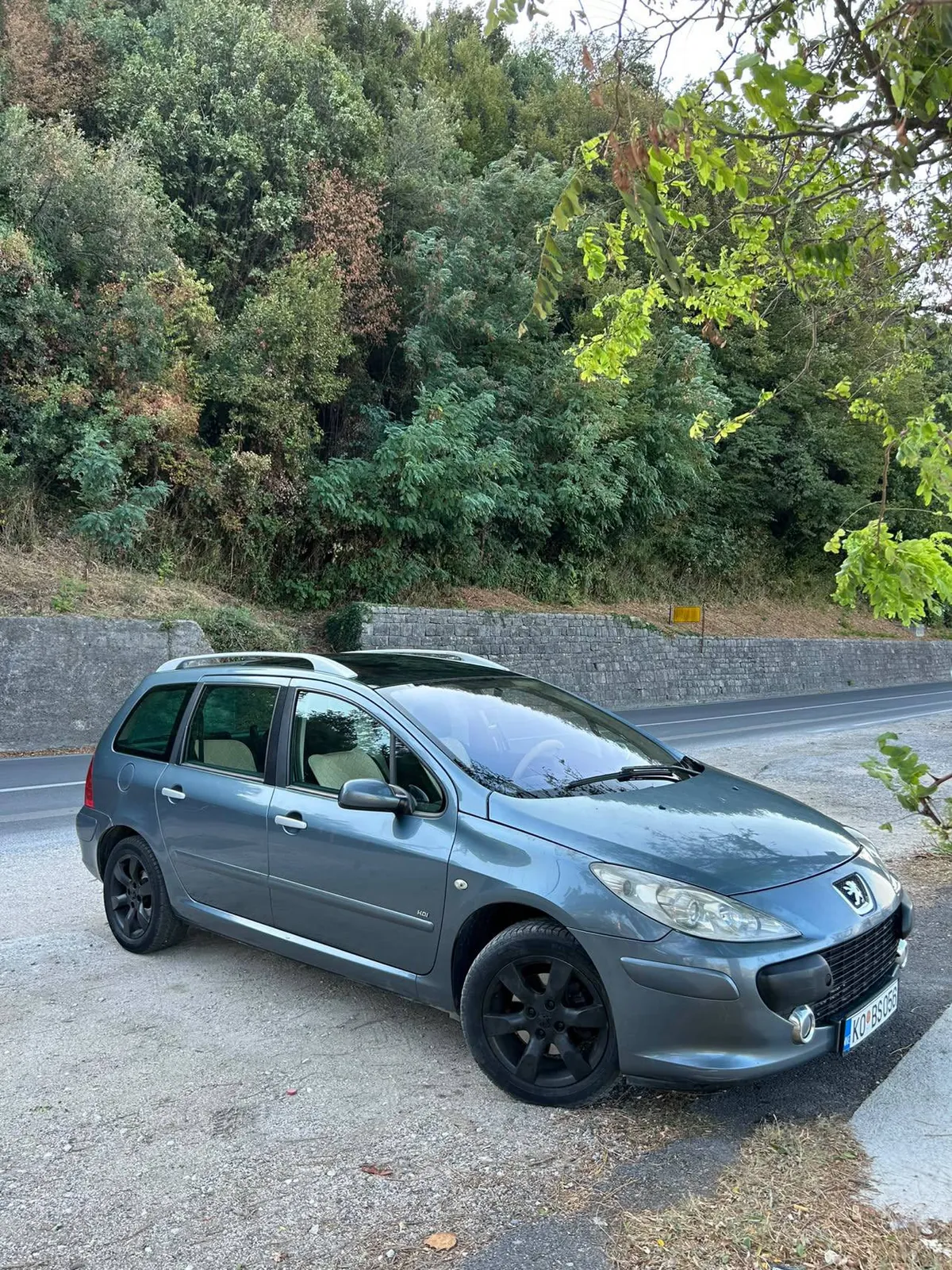 Peugeot 307 хэтчбек 2006 год 5