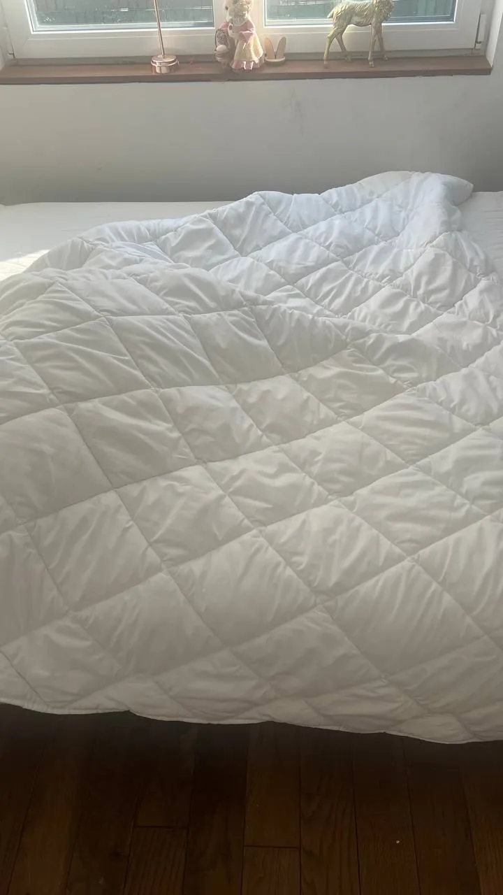Одеяло и подушка Madame Coco 180×200 см 3