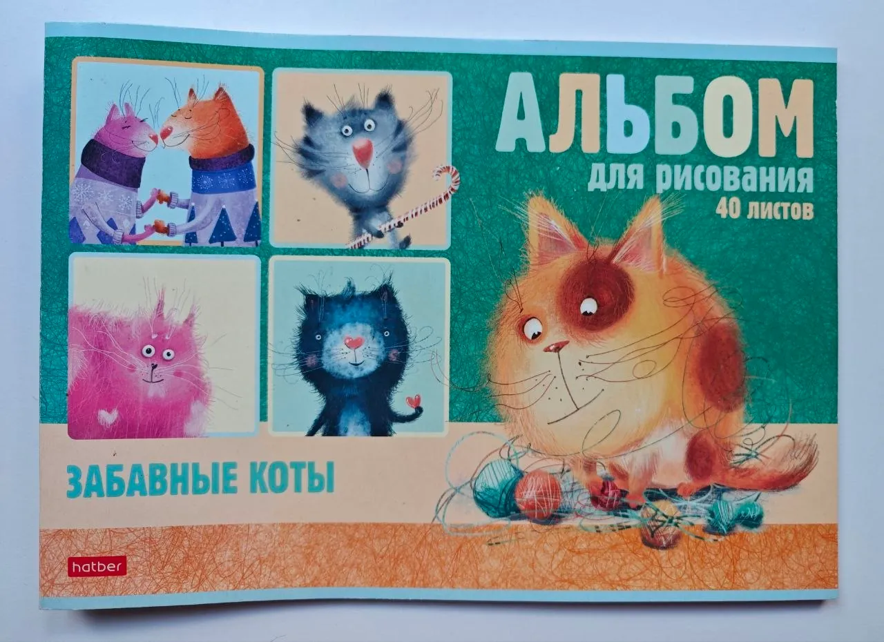 Миниатюра 4