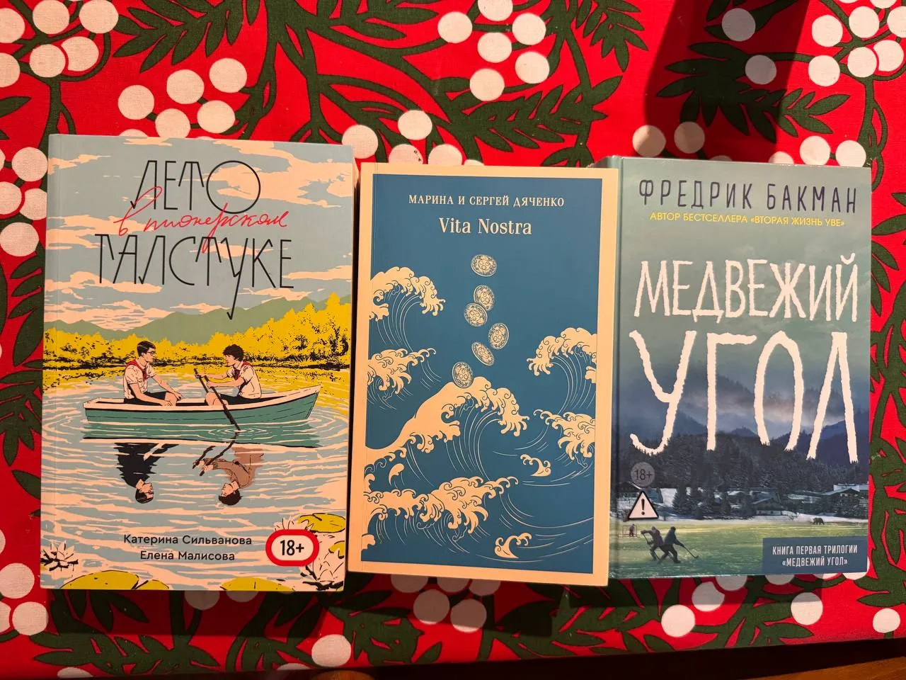 Книги Vita Nostra Медвежий угол Нови-Сад 1