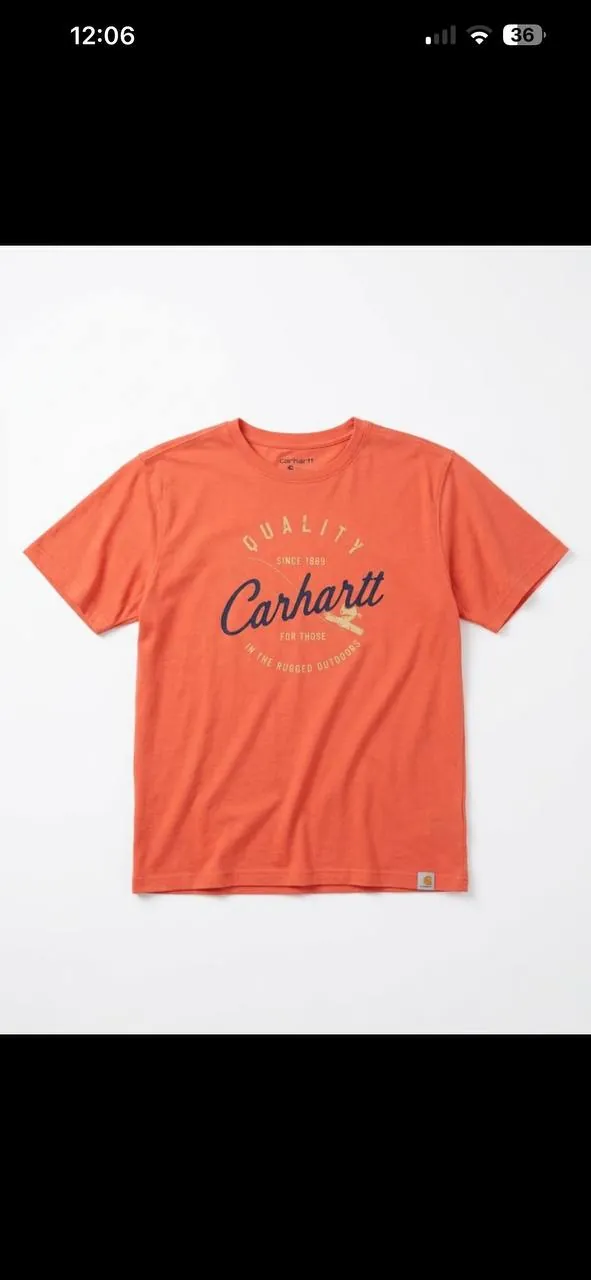 Мужские футболки и худи лот Nike Carhartt Patagonia 3