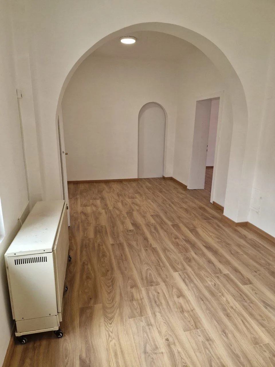 Дом 90 м² с двором в центре Земуна 2