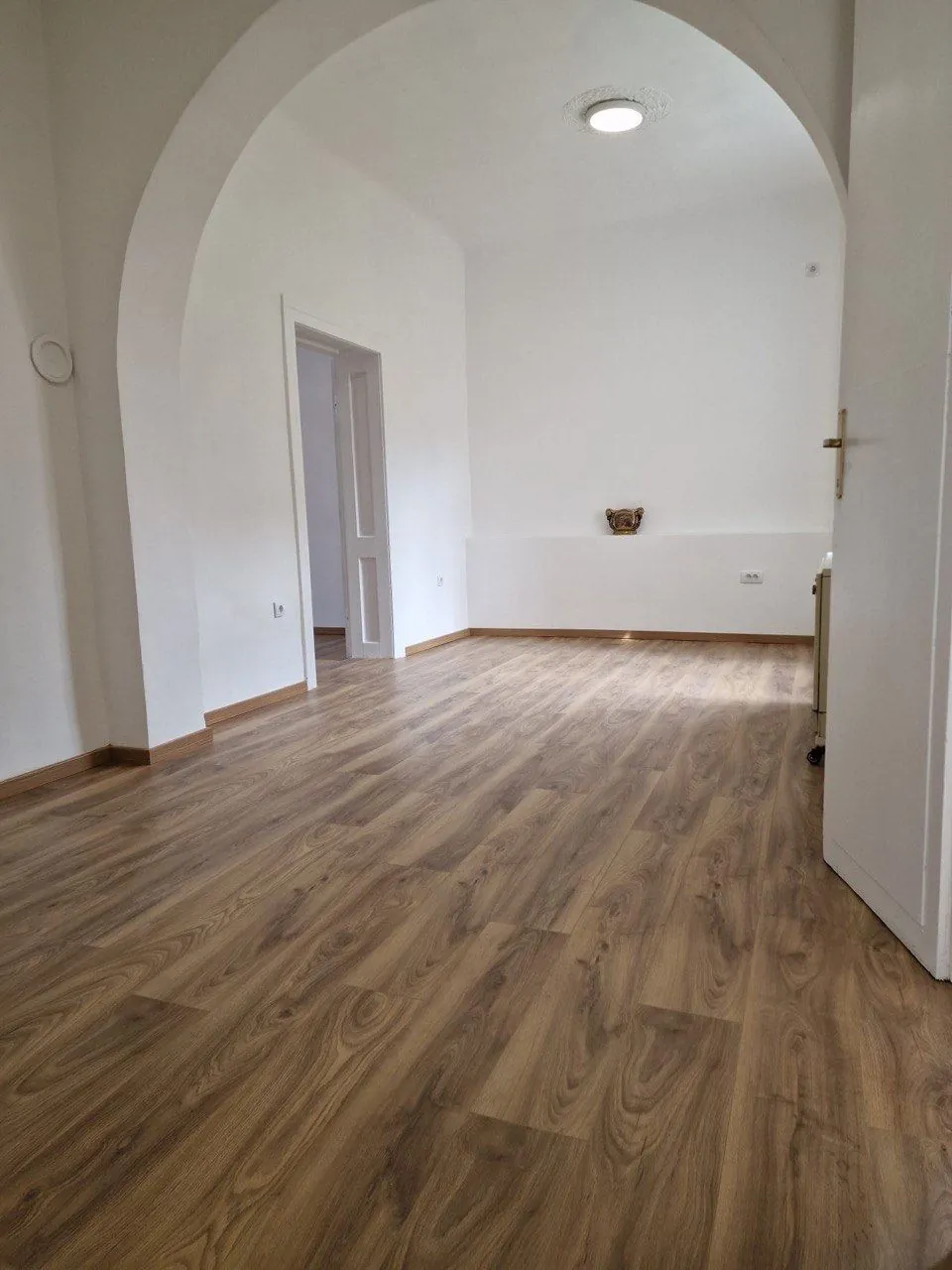 Дом 90 м² с двором в центре Земуна 4
