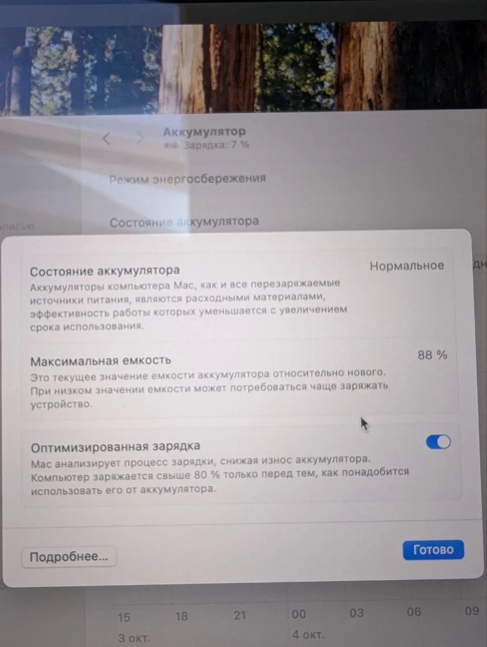 Миниатюра 6