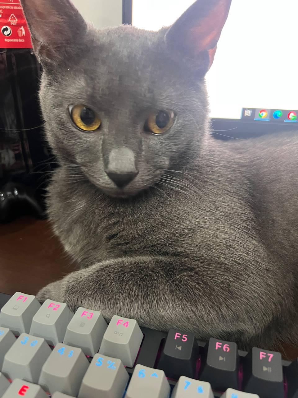 Игровой ПК 6
