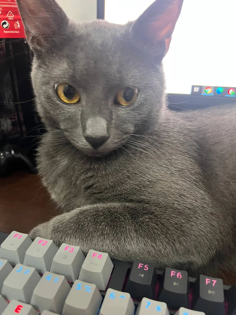 Игровой ПК 6