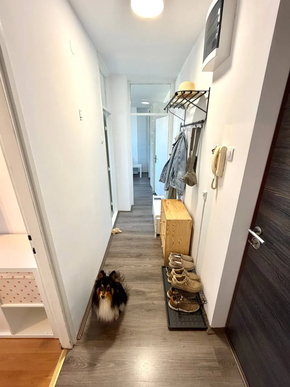 Миниатюра 7
