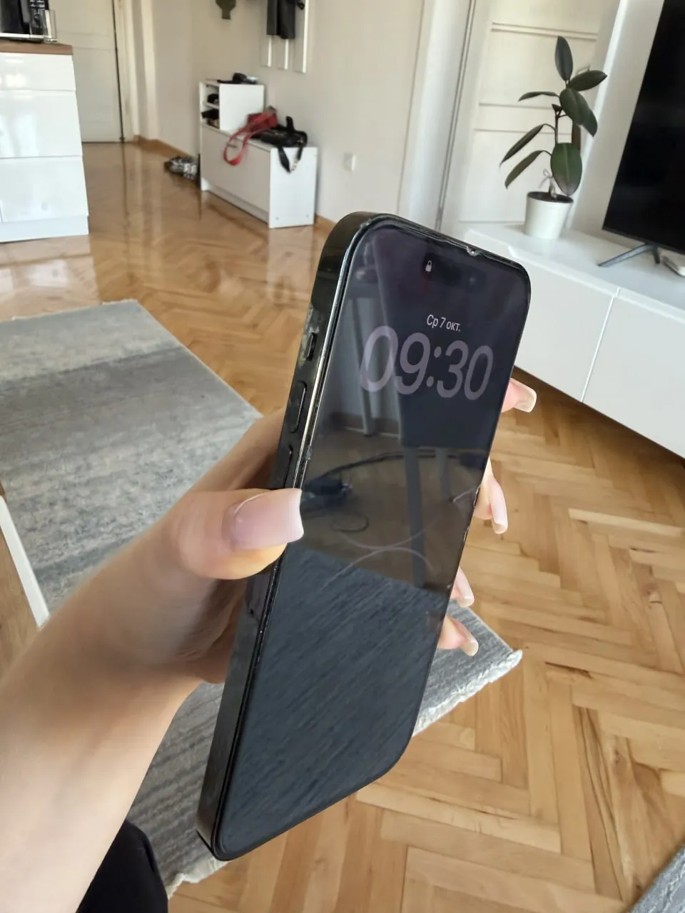 Миниатюра 6