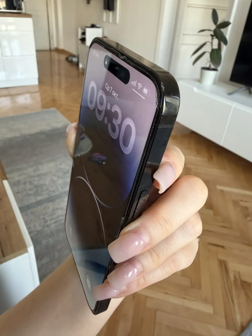Миниатюра 5