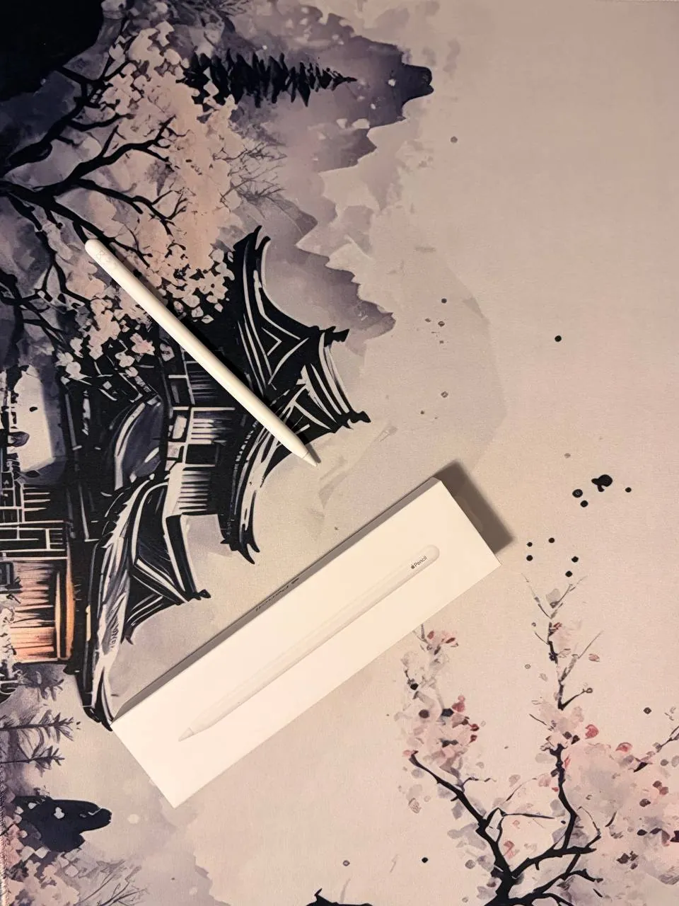 Apple Pencil 2-го поколения с коробкой 3