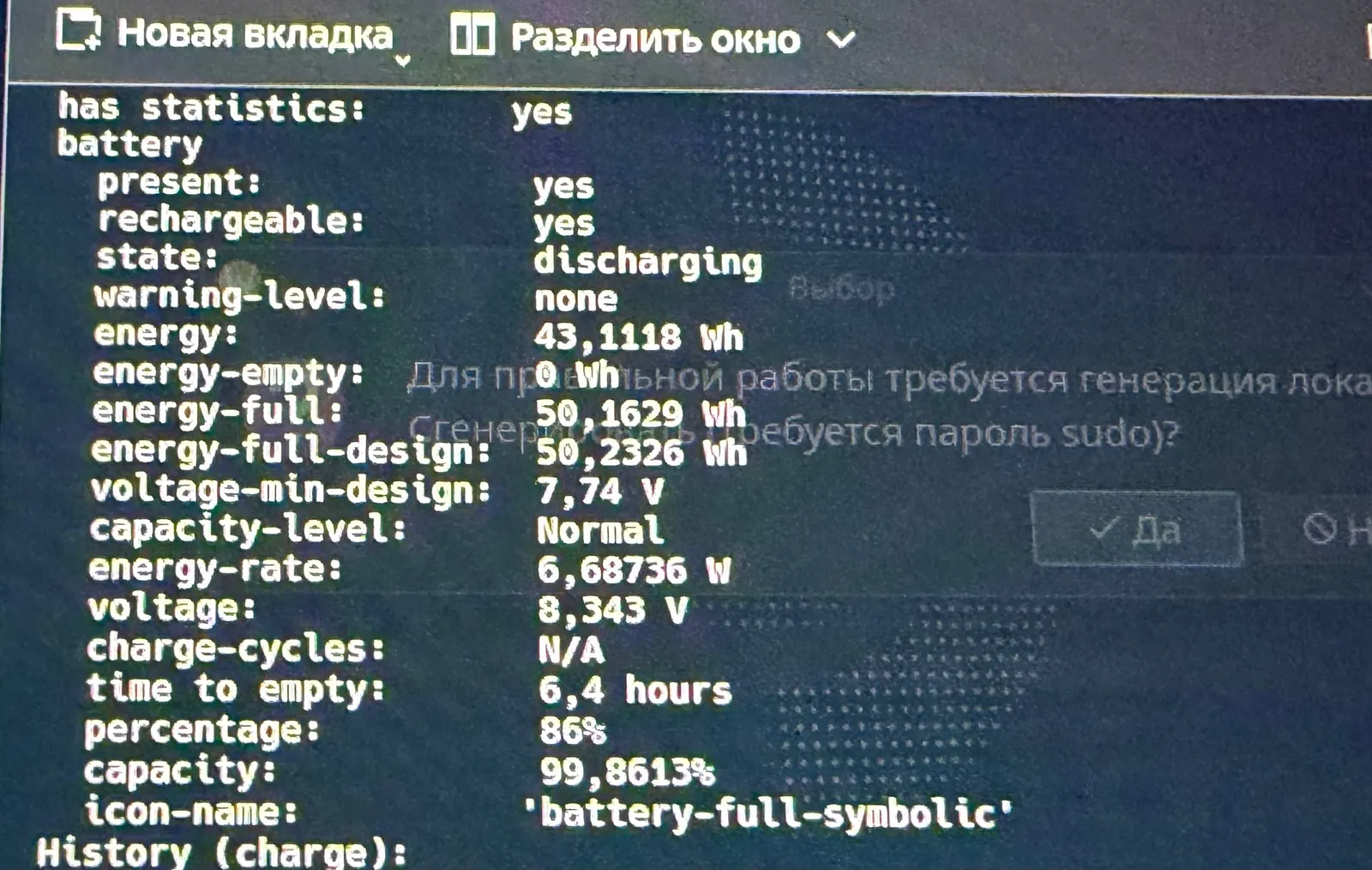 Миниатюра 4
