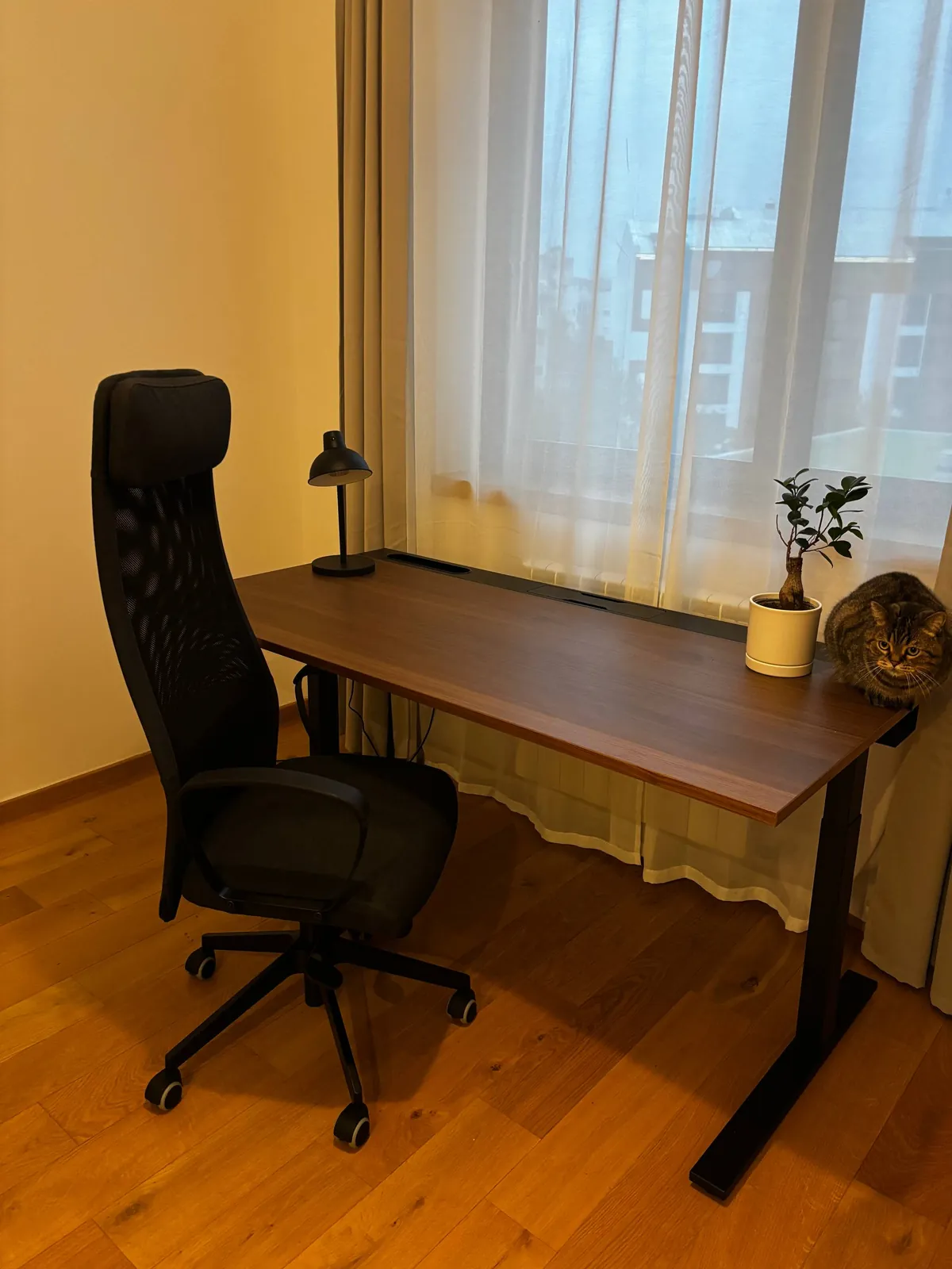 Компьютерный стол и кресло IKEA Markus Белград 1