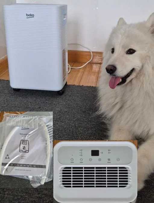 Осушитель воздуха BEKO BDP016 Белград 1