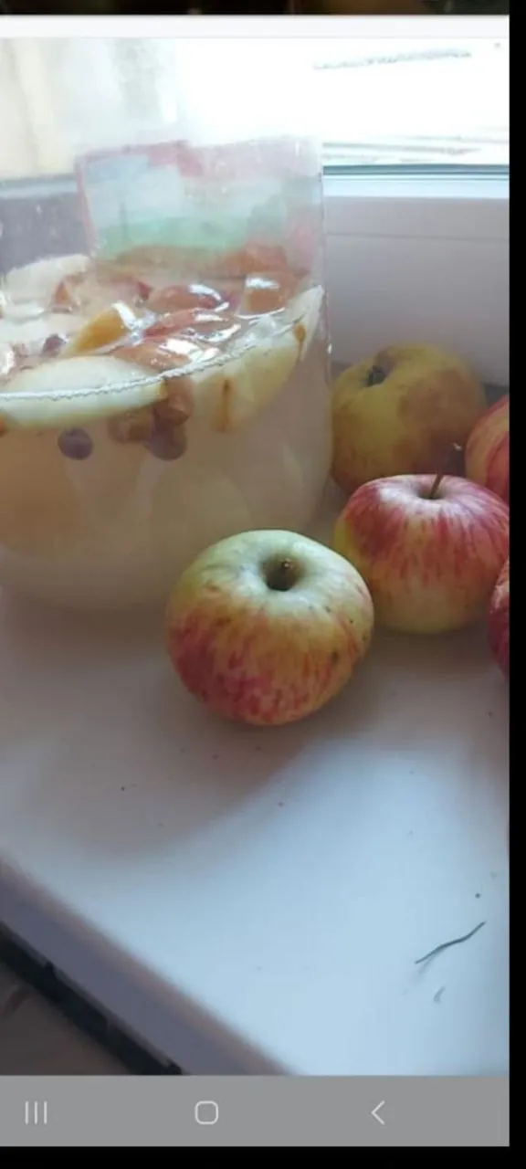 Индийский рис зооглея живая культура для напитка 3