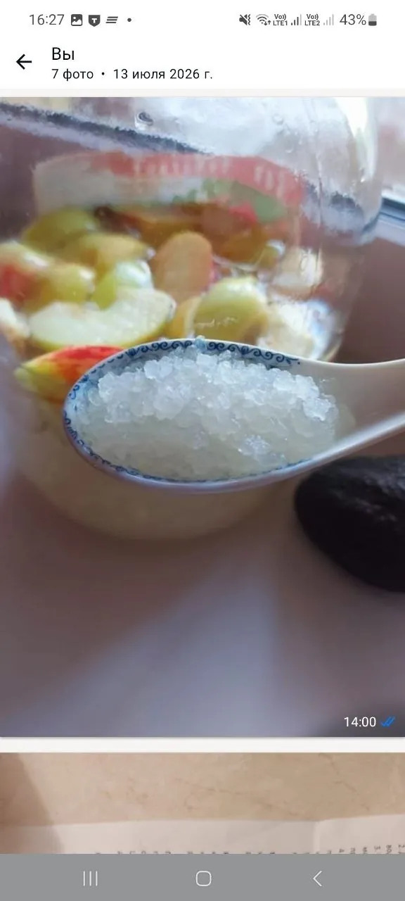 Индийский рис зооглея живая культура для напитка 2