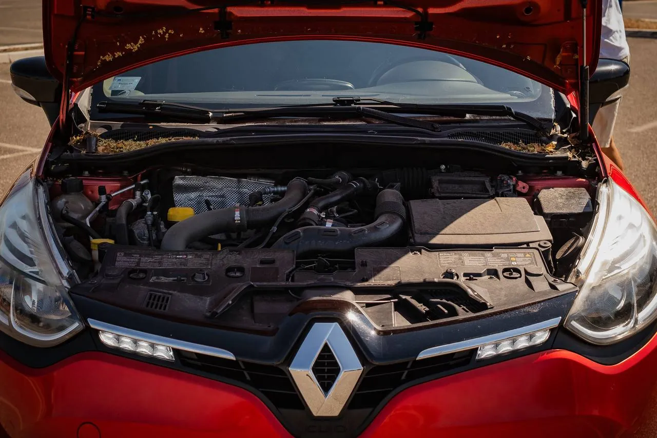 Renault Clio 2014 Swiss Edition Белград 3