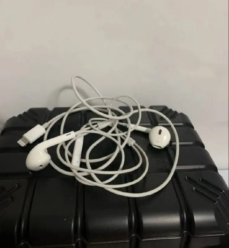 Проводные наушники Apple EarPods Lightning Нови-Сад 1