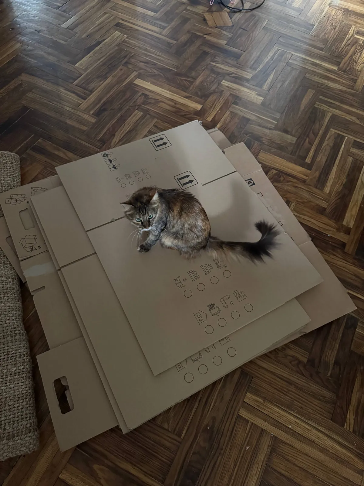 Коробки IKEA для хранения и переезда Белград 1