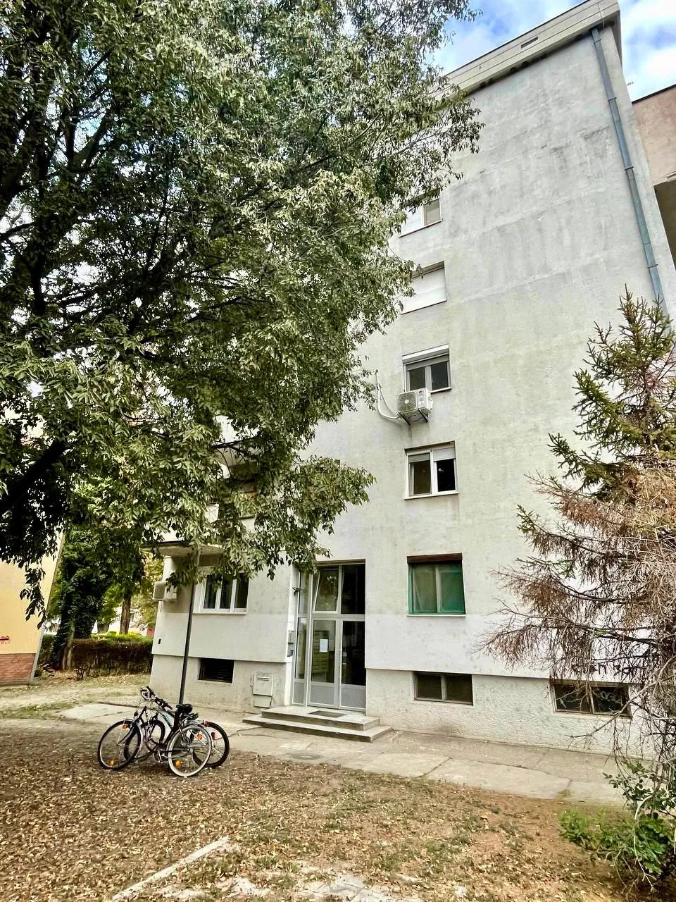Миниатюра 10