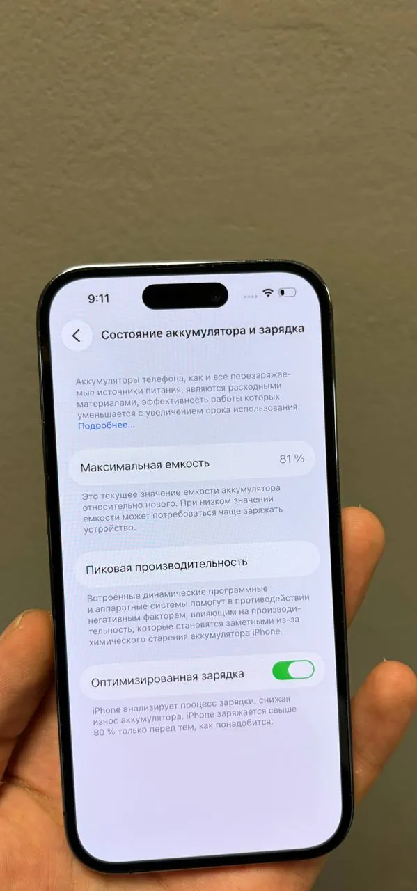 Миниатюра 4