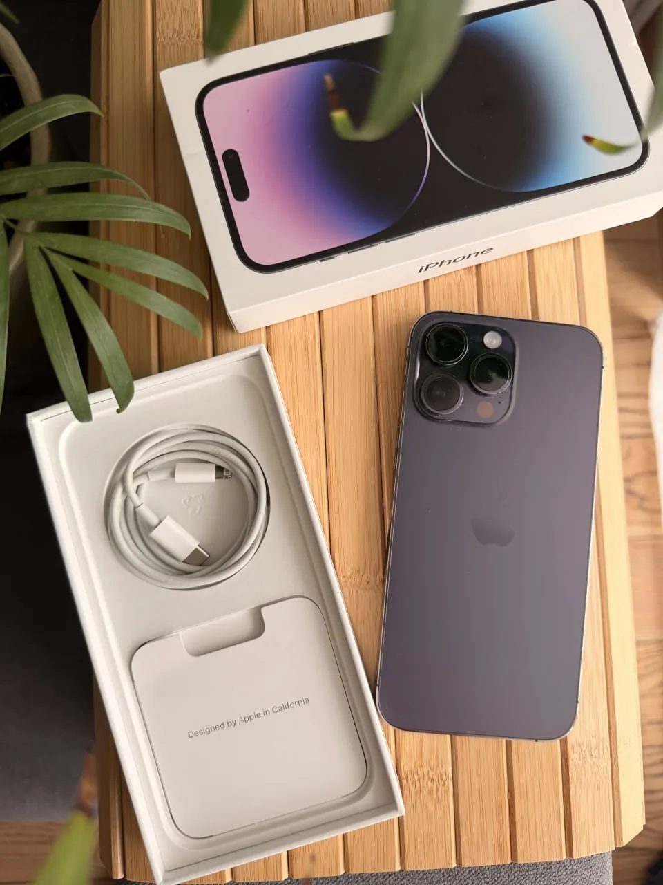 Миниатюра 7