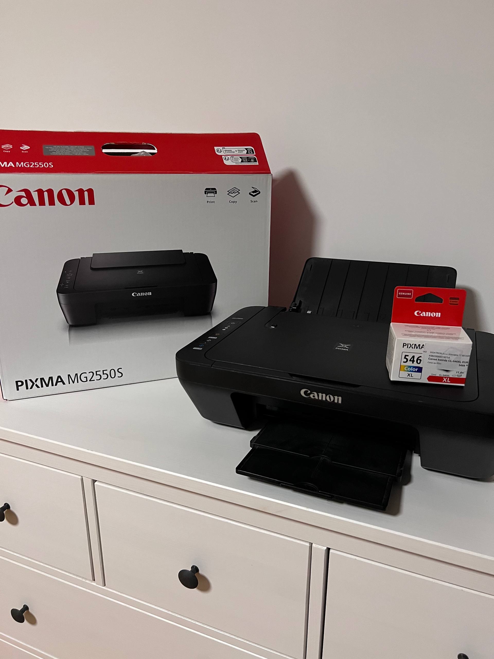 Canon PIXMA MG2550S принтер сканер 1