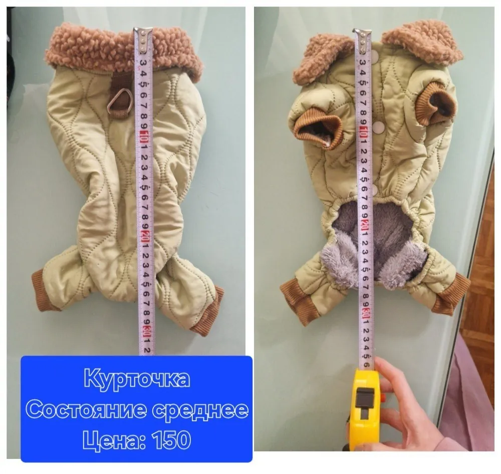 Миниатюра 4