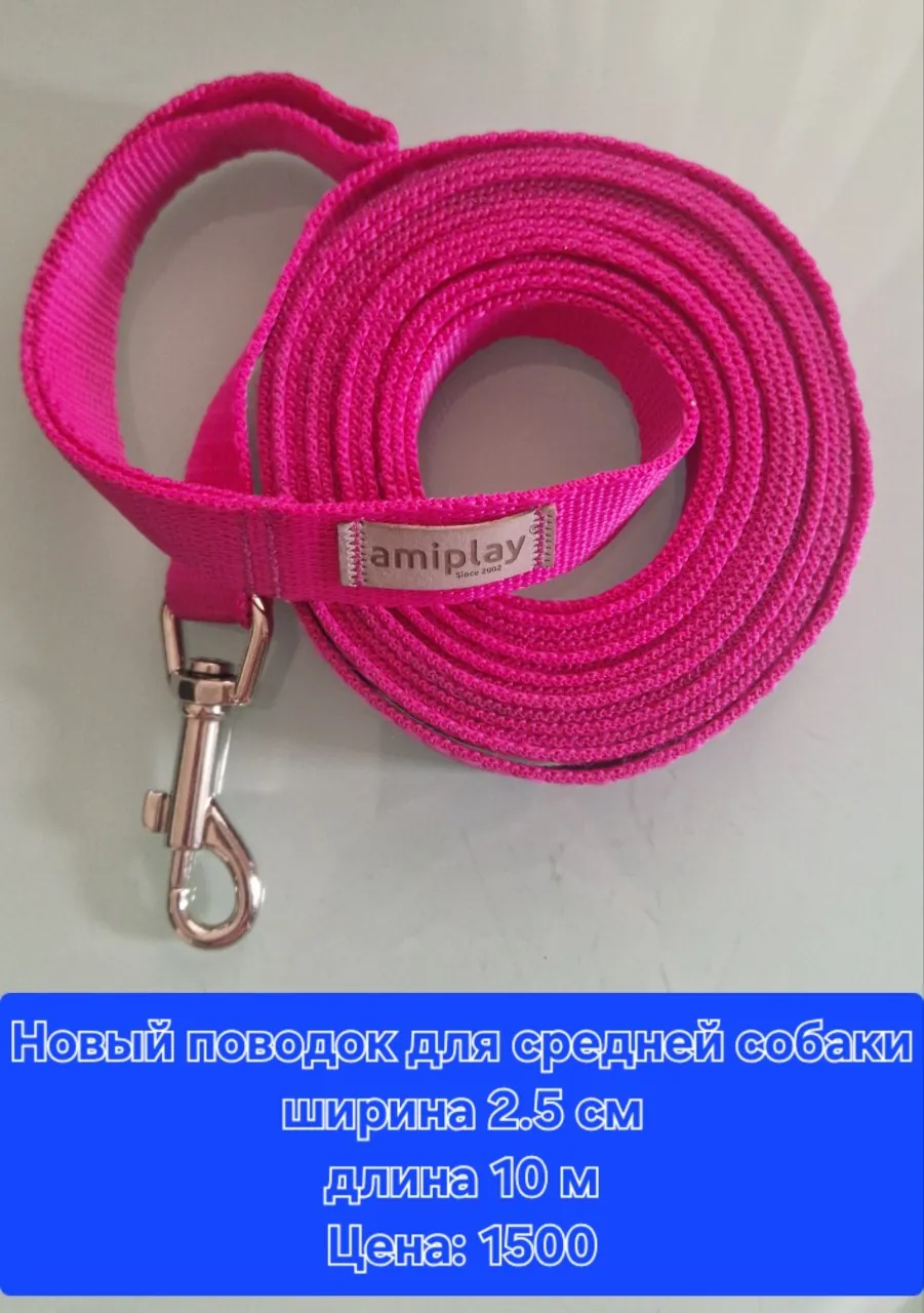 Миниатюра 5