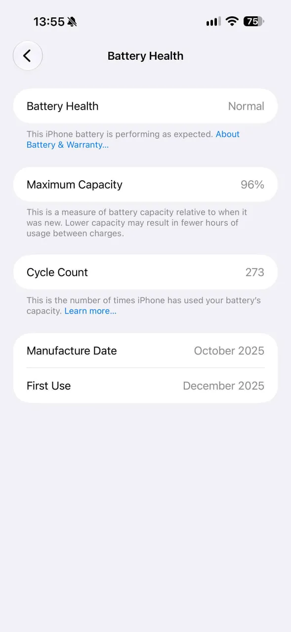IPhone 17 Pro Max 256 GB Silver 4