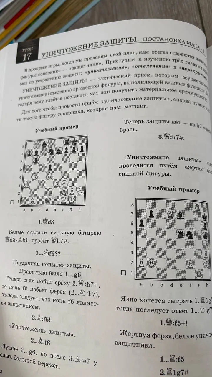 Миниатюра 2