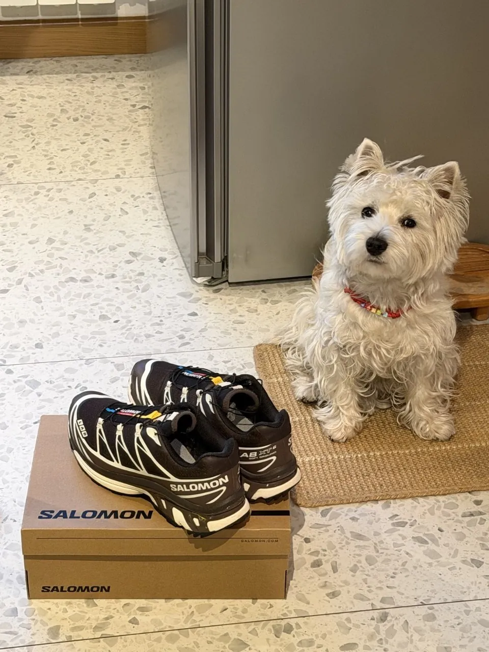 Кроссовки Salomon XT-6 EU 44 влагозащита 5