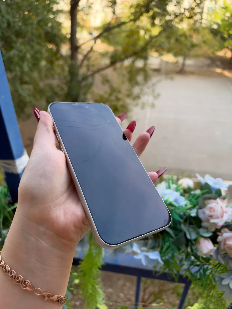 IPhone 17 Pro Max 256 ГБ с трещинами, Нови-Белград 5