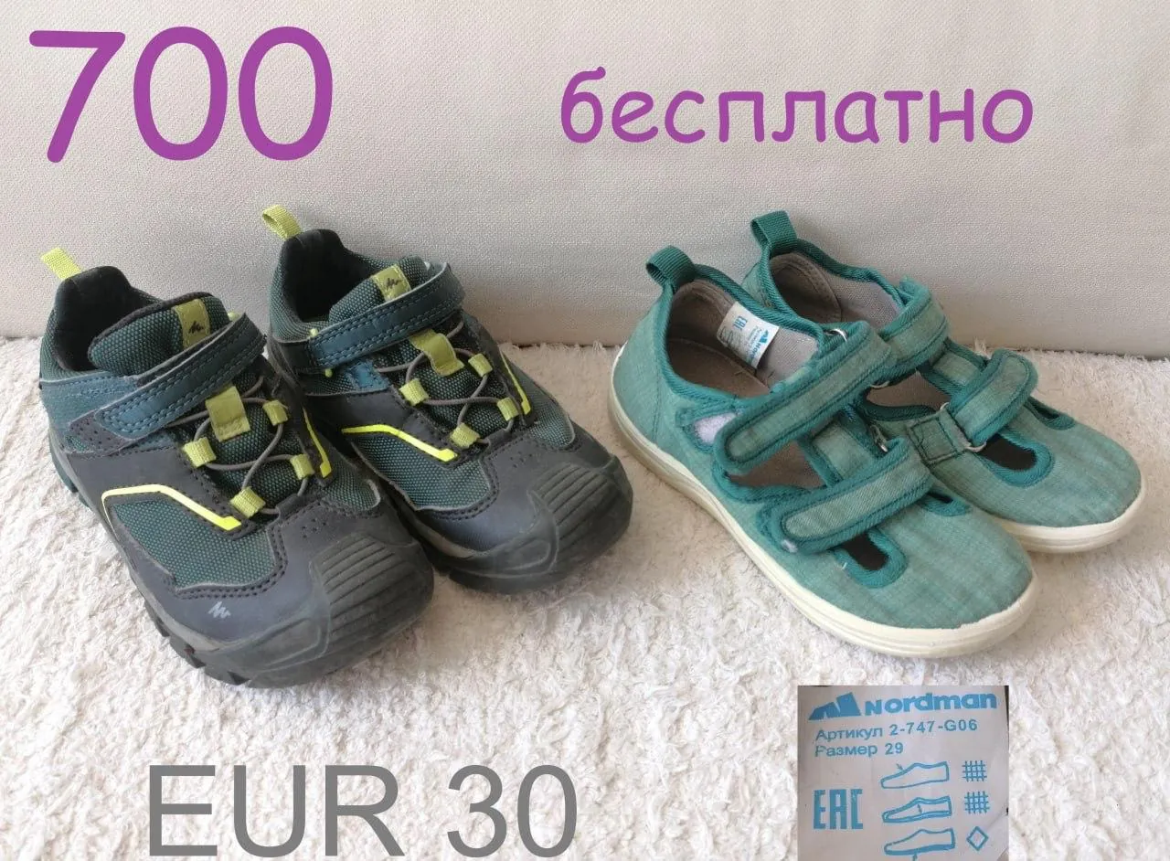 Миниатюра 5